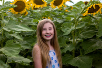 Eden Sunflowers 24-Jul-18